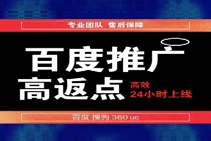 某行业竞价推广的挑战与机遇——多案例研究